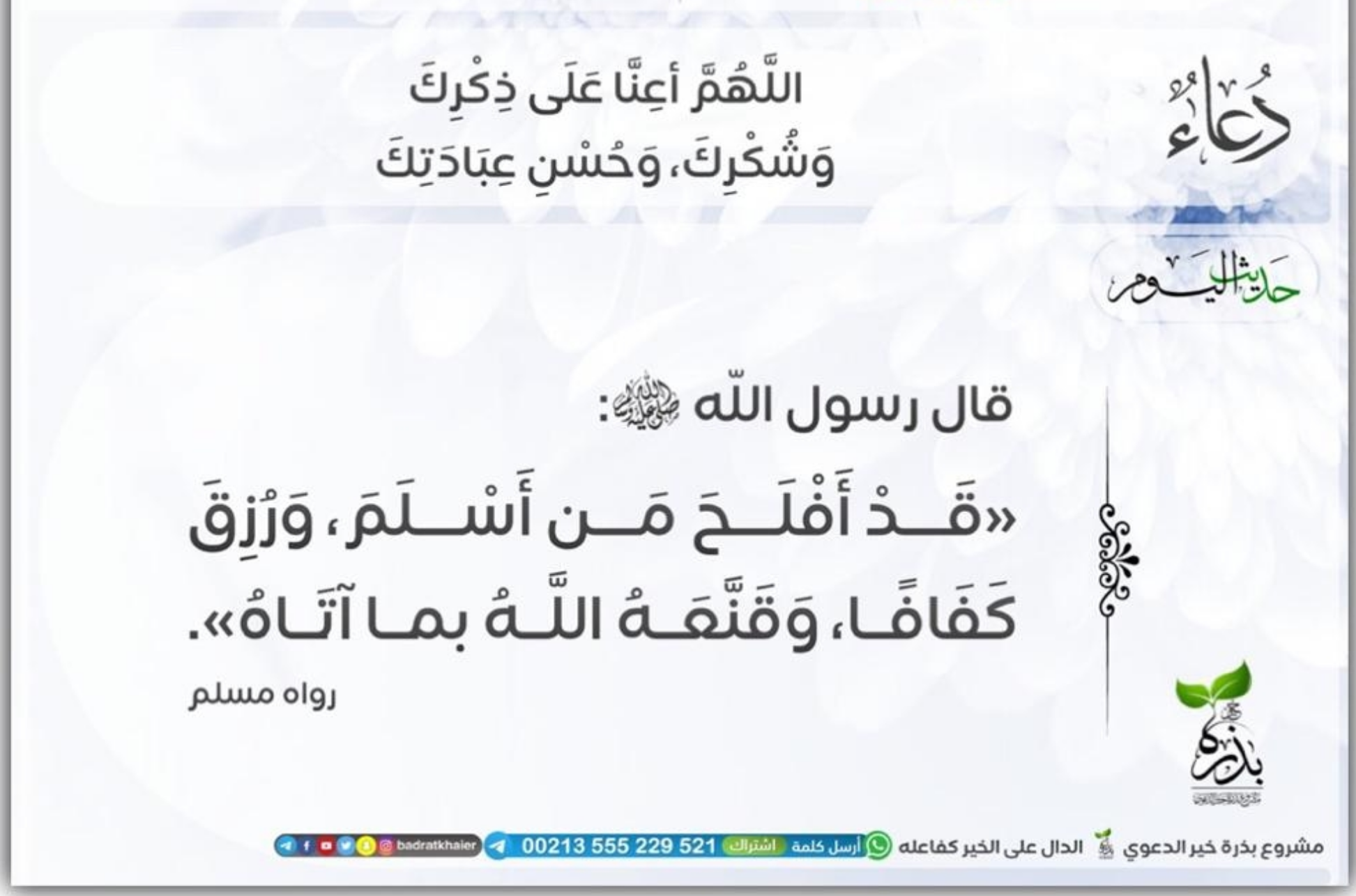 مختارات