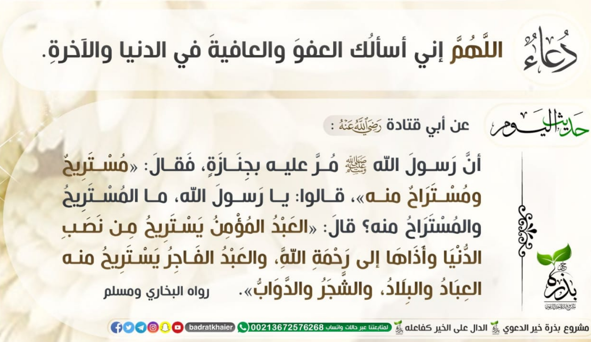 مختارات