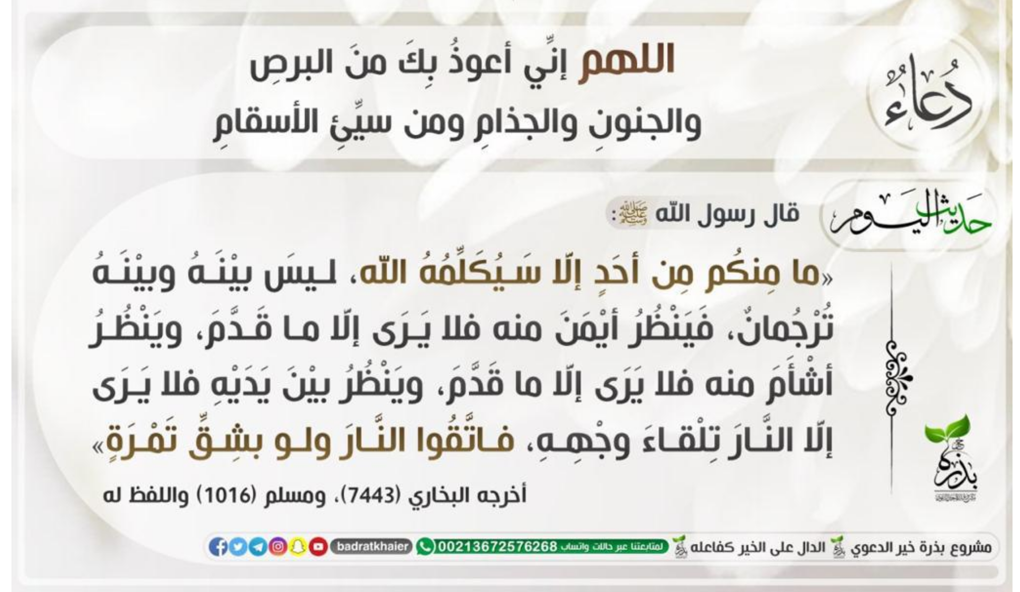 مختارات