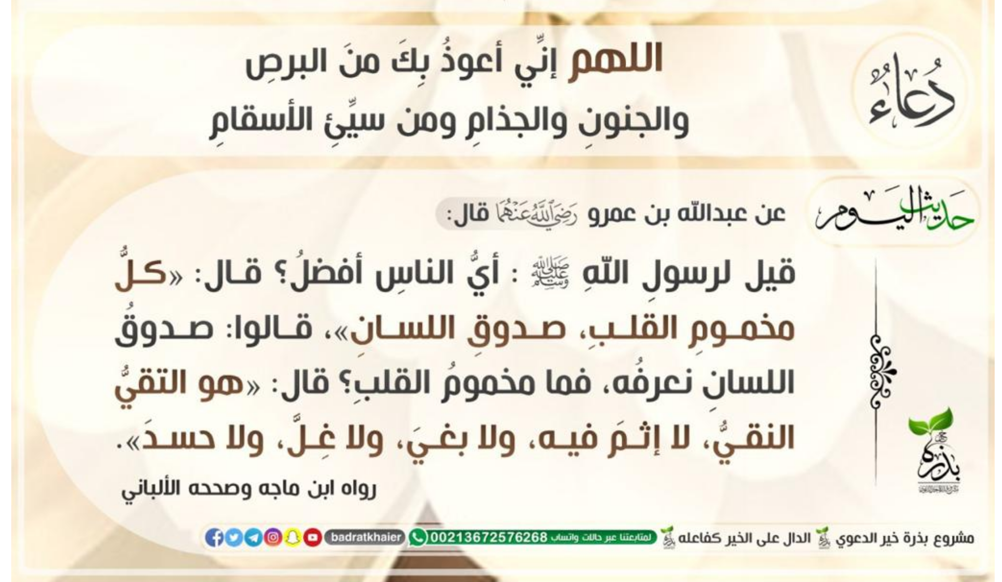مختارات