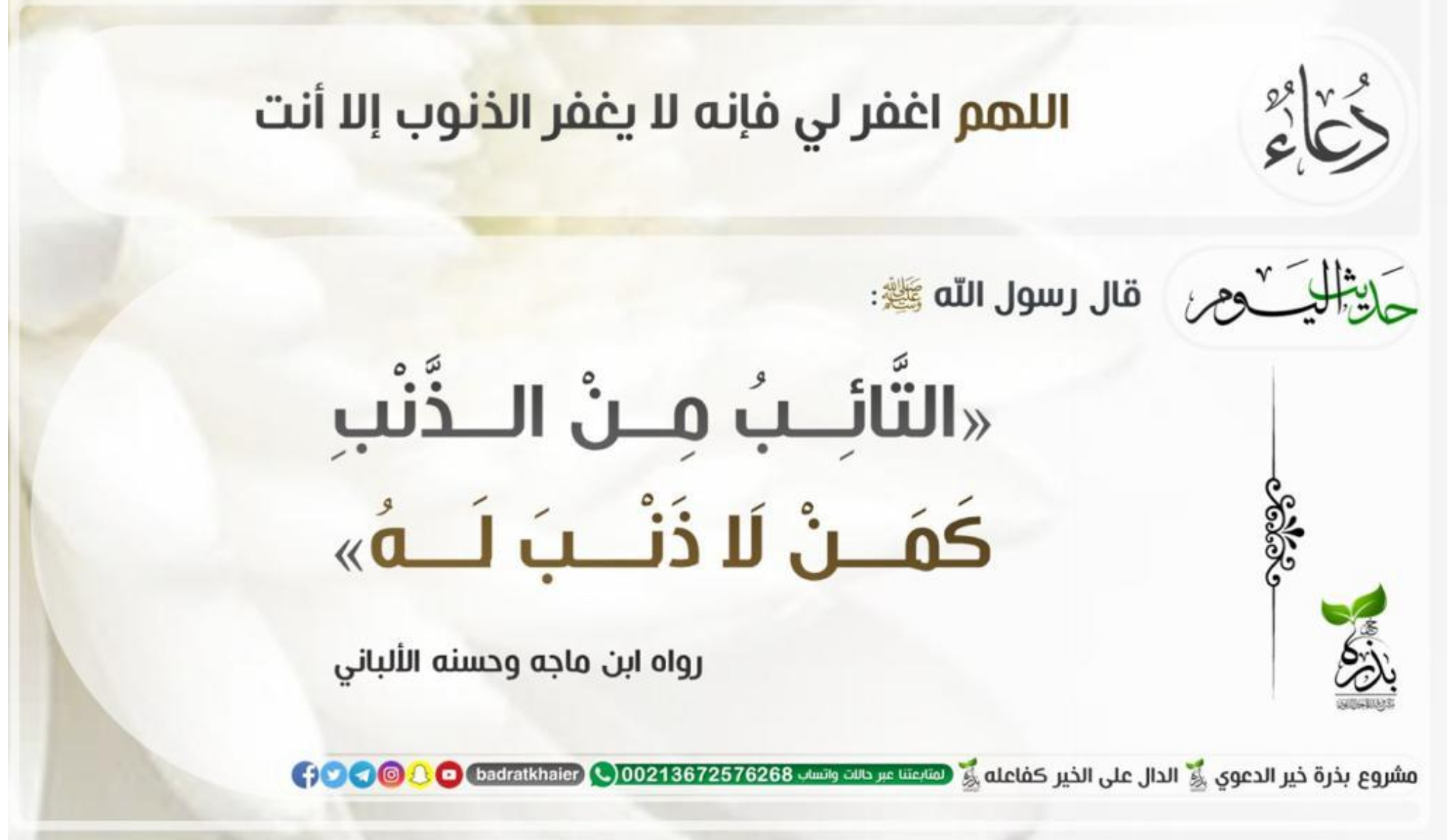 مختارات