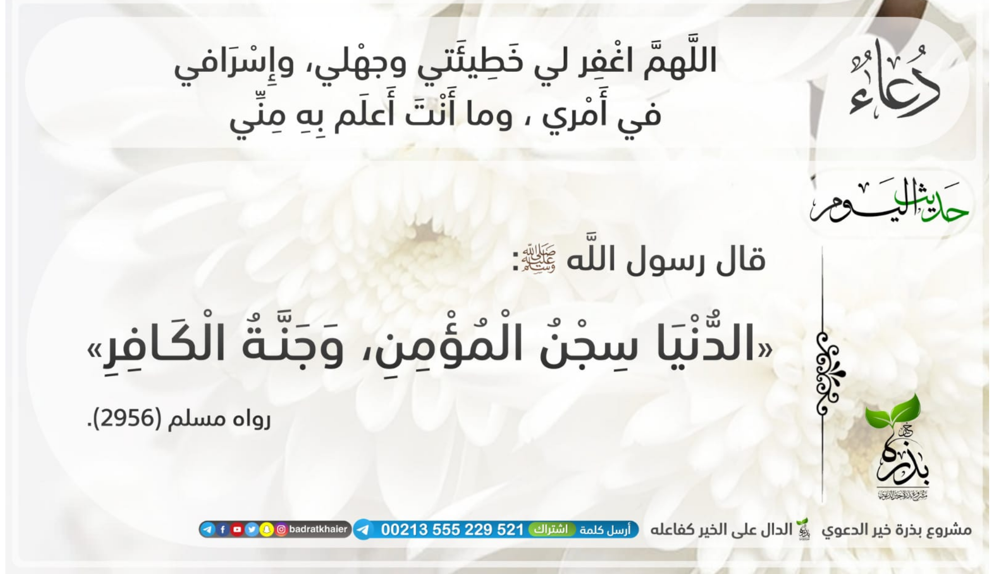 مختارات