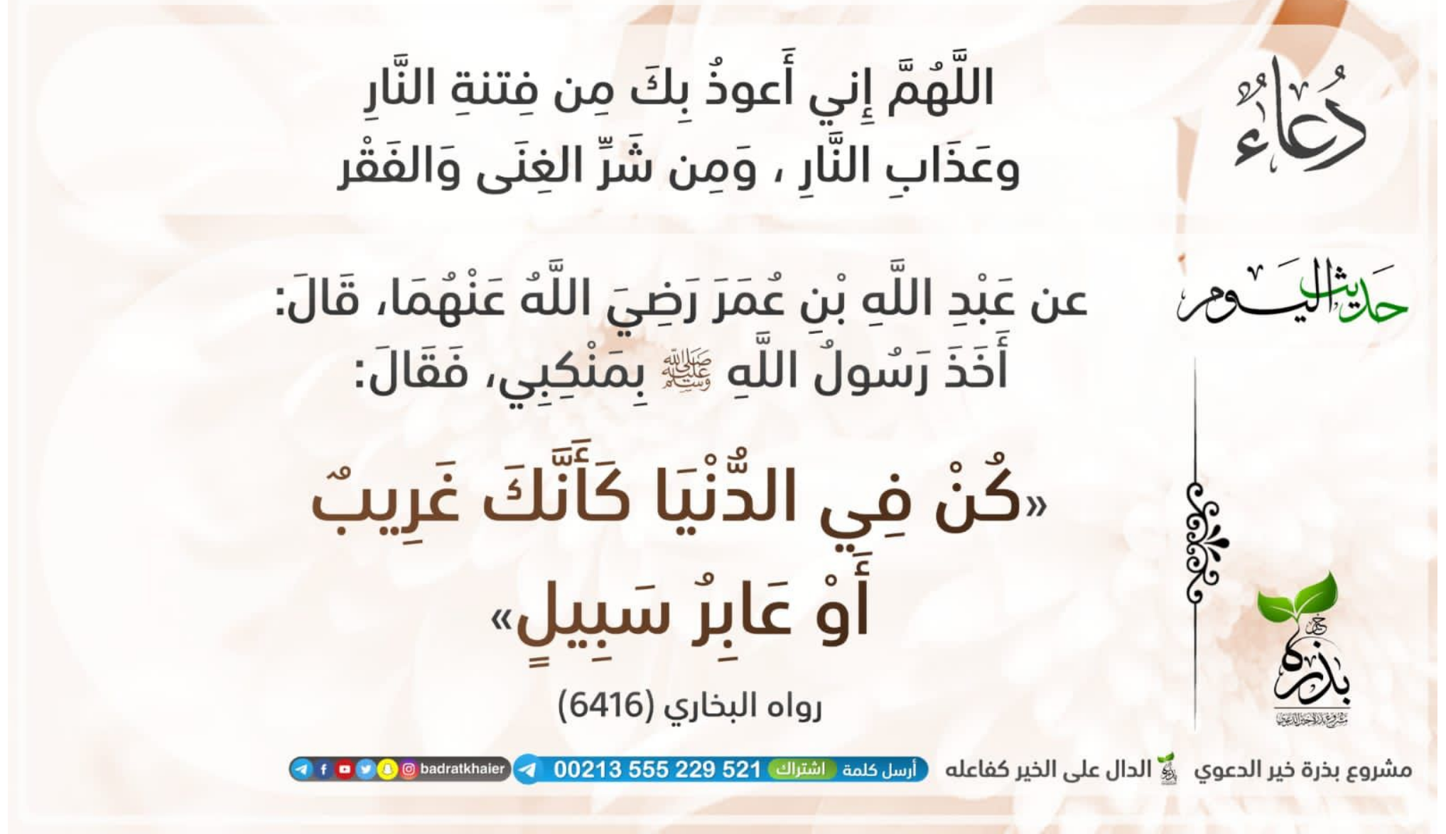 مختارات
