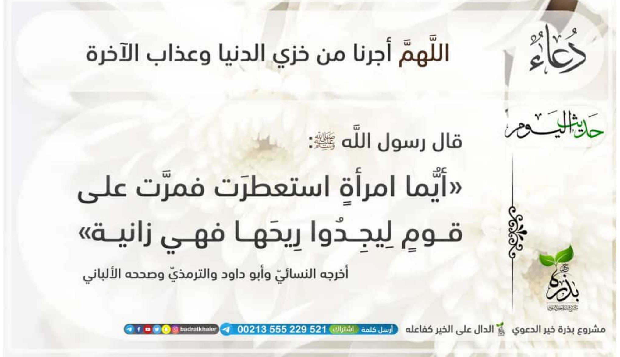 مختارات
