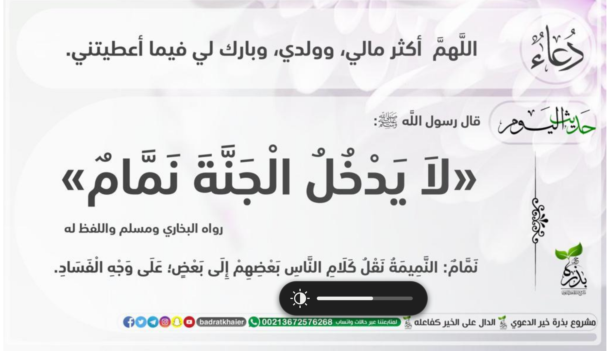 مختارات