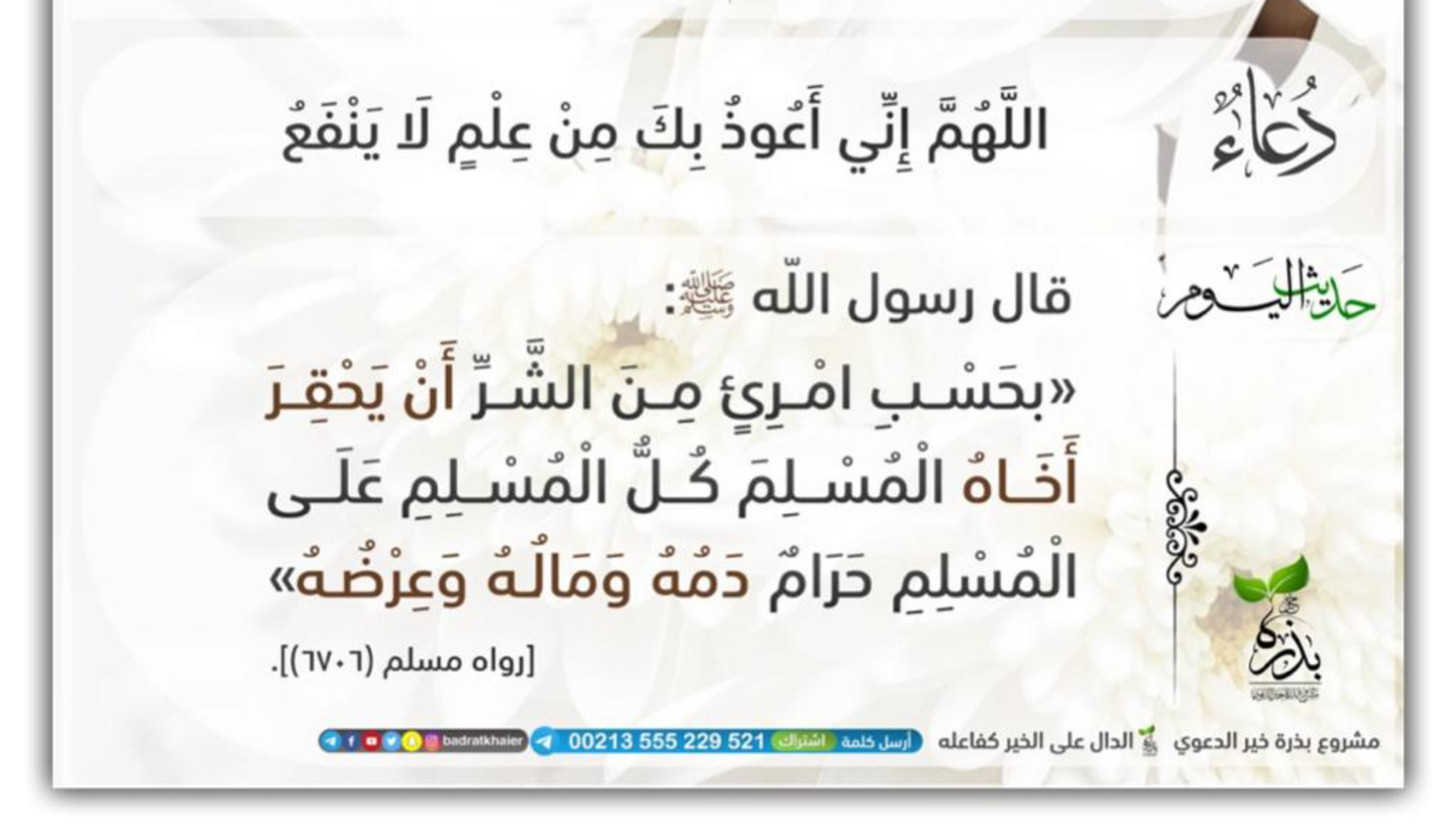 مختارات
