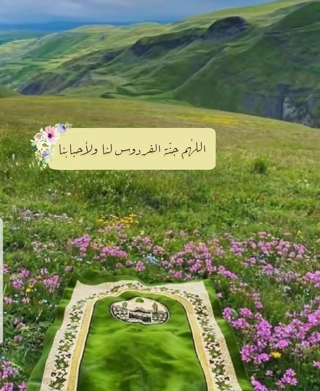 مختارات
