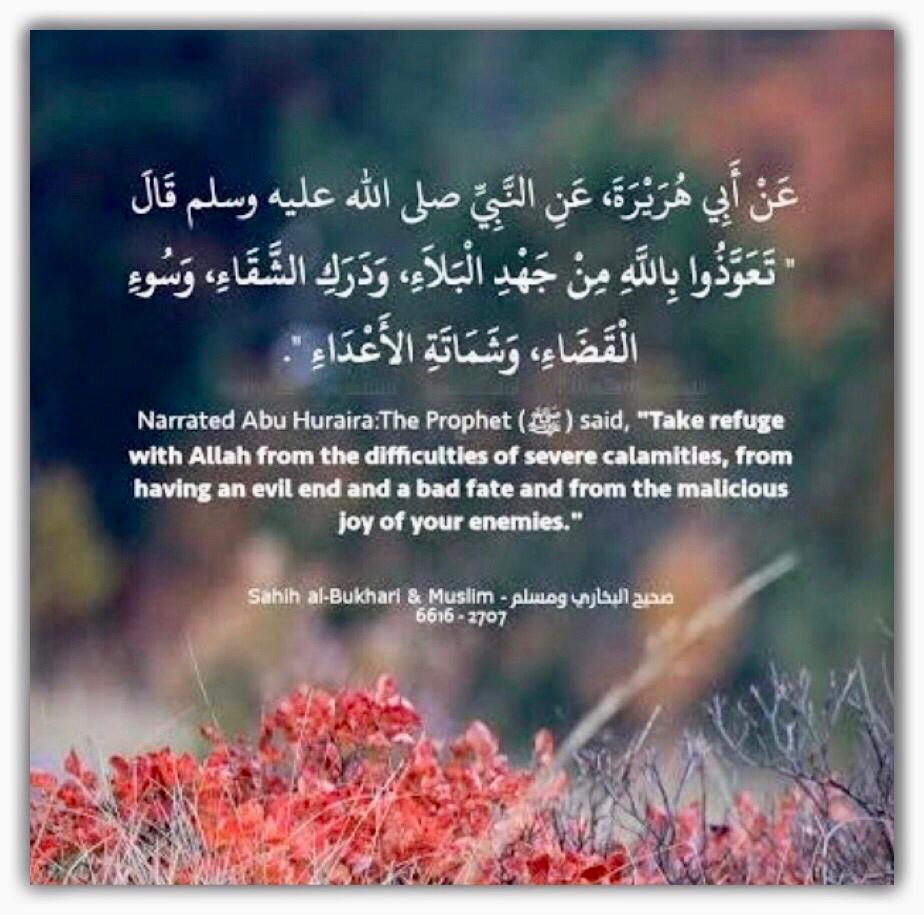 مختارات