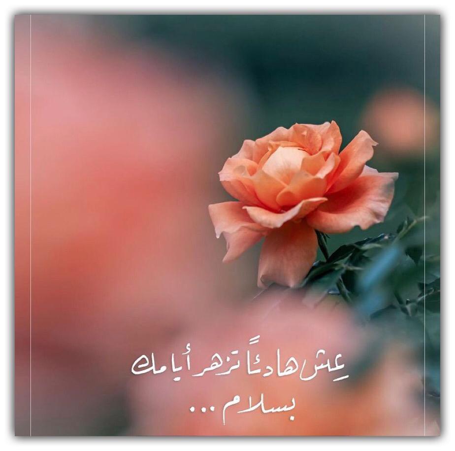 عش هادئاً تزهر ايامك بسلام