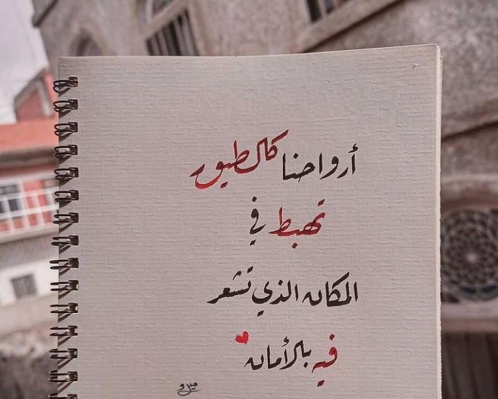 ارواحنا كالطيور