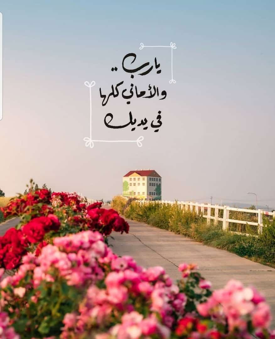 يارب والاماني كلها في يدك