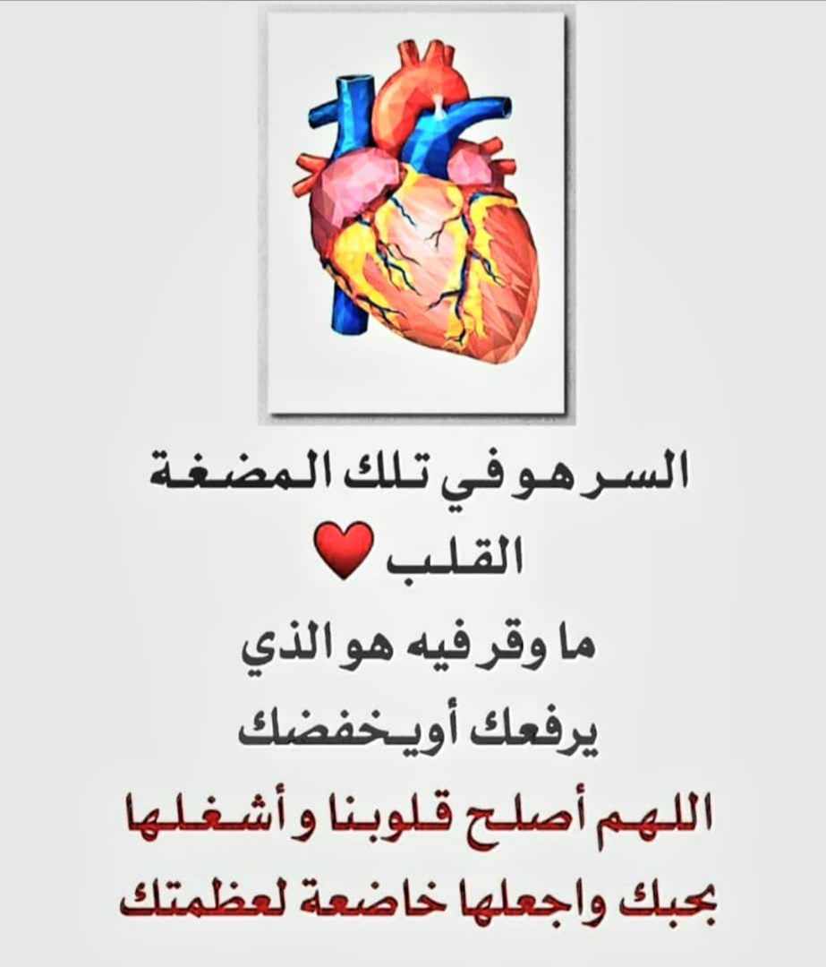 السر هو في تلك المضغة ( القلب )