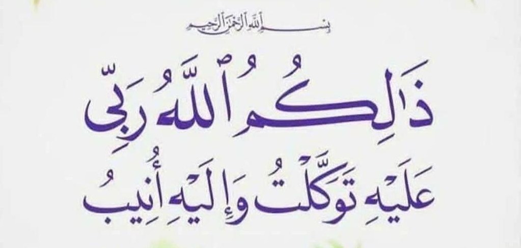 ذلكم الله ربي عليه توكلت واليه انيب