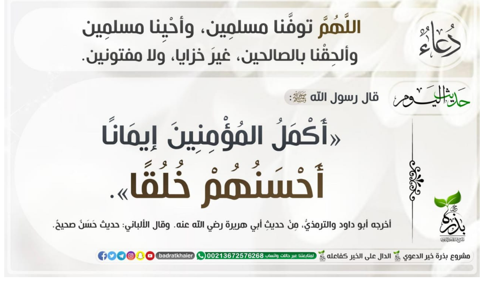 مختارات