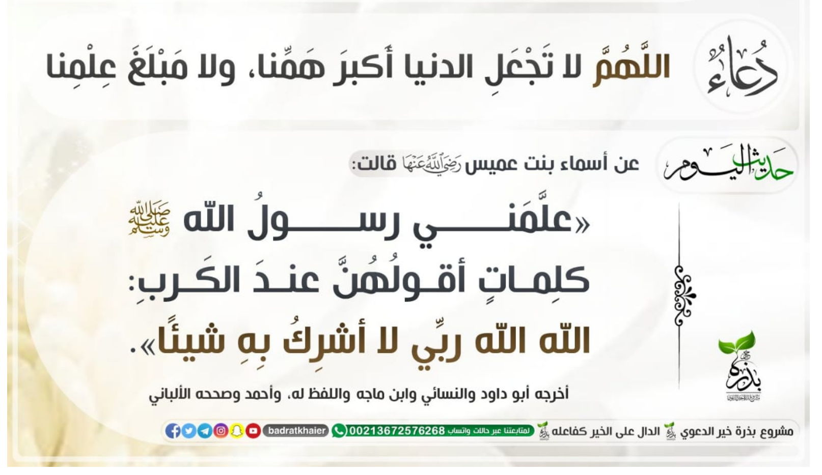 مختارات