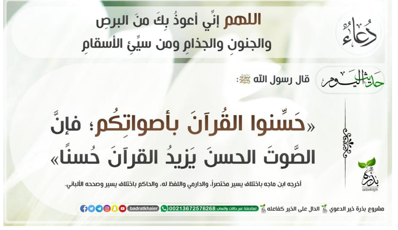 مختارات
