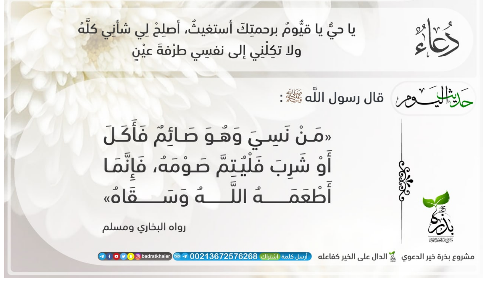 مختارات