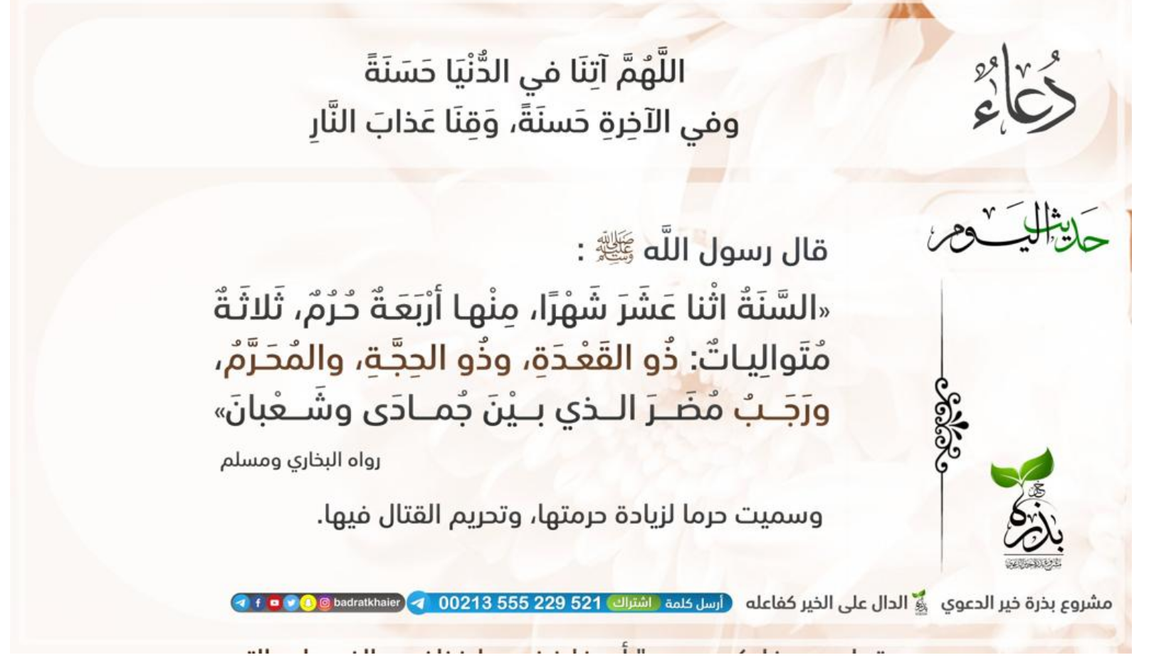 مختارات