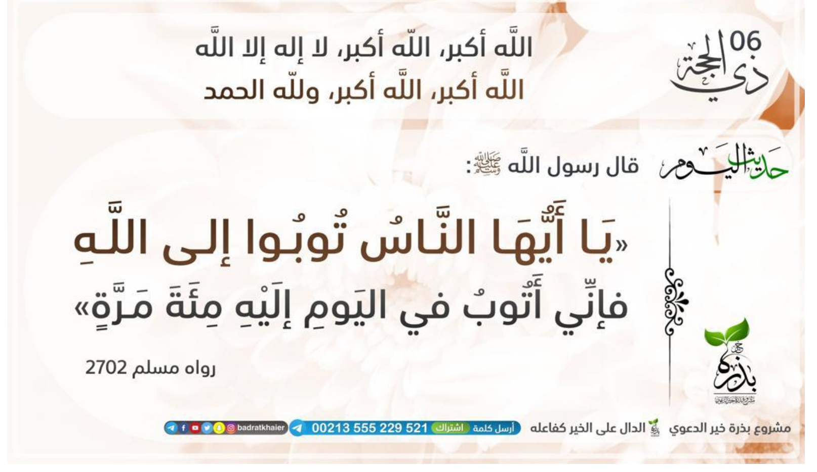 مختارات