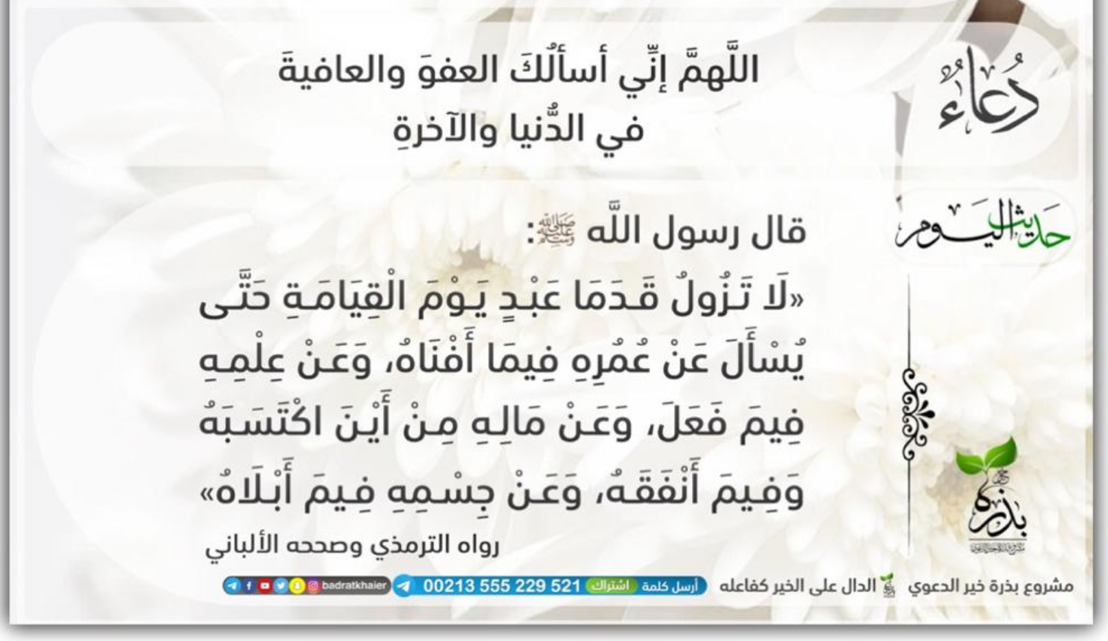 مختارات