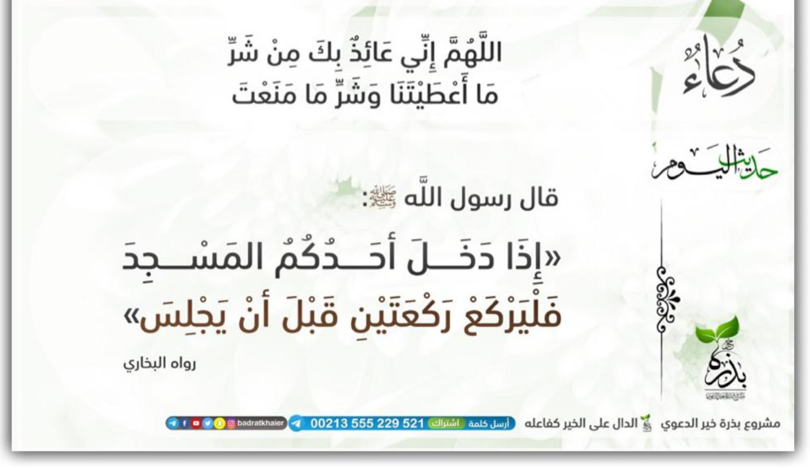 مختارات