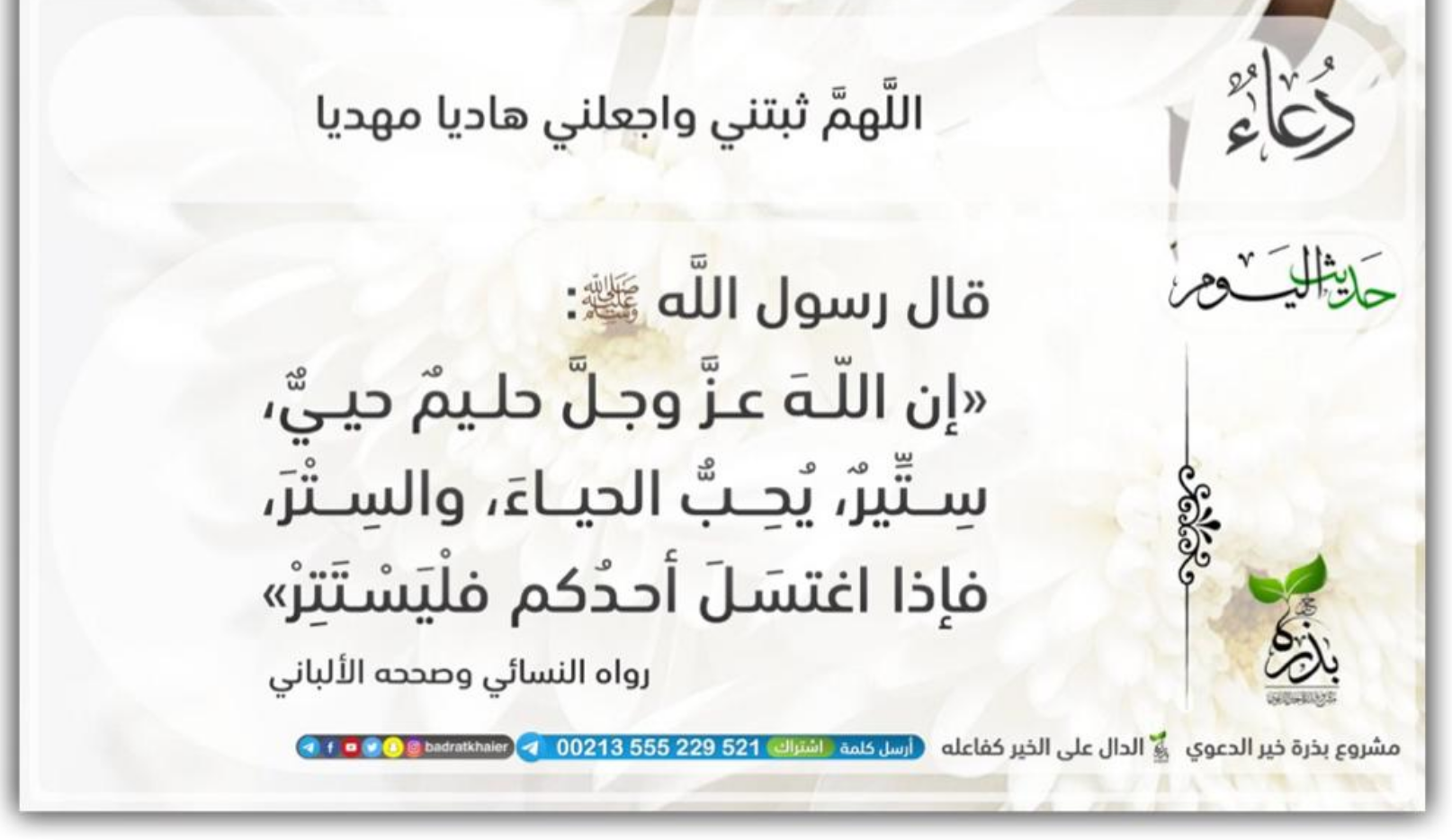 مختارات