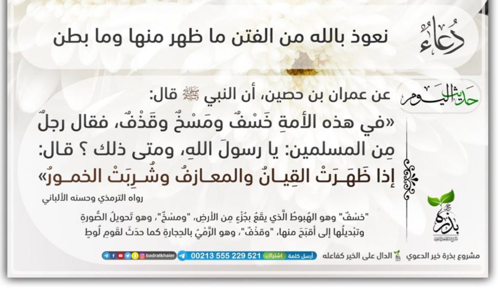 مختارات
