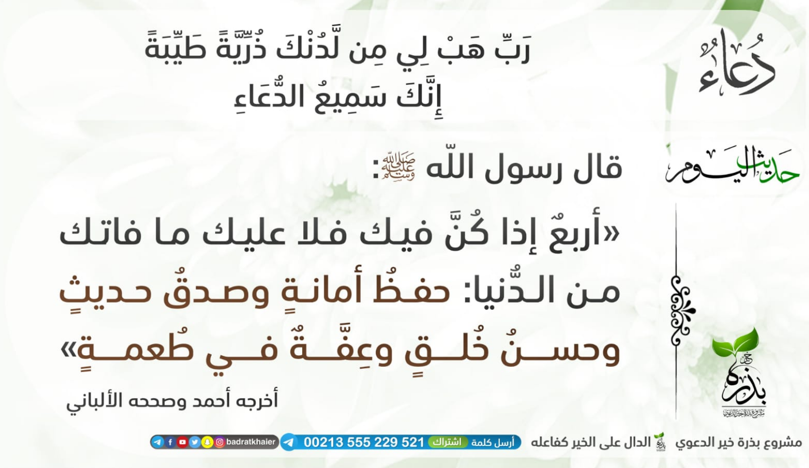 مختارات