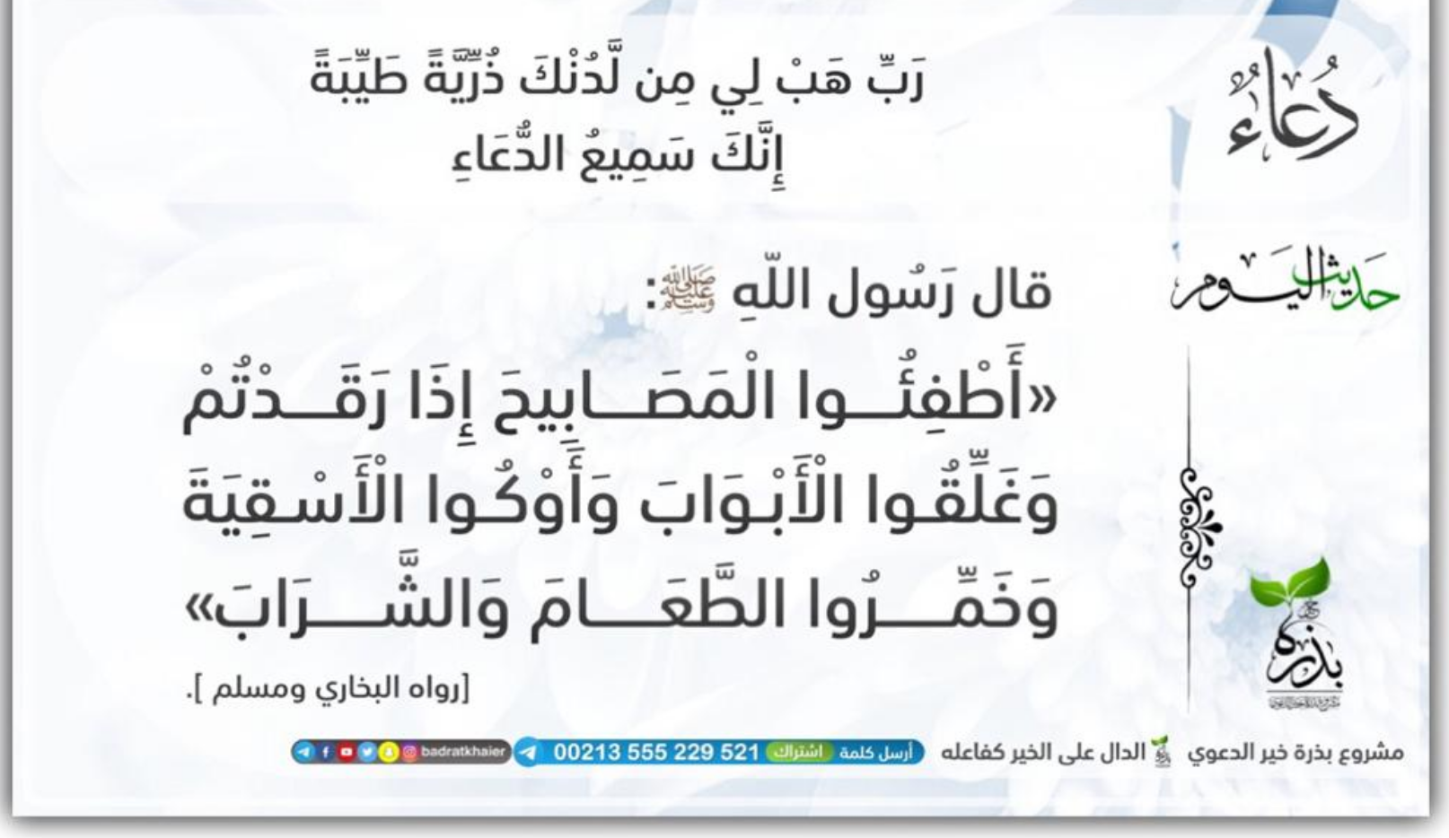 مختارات