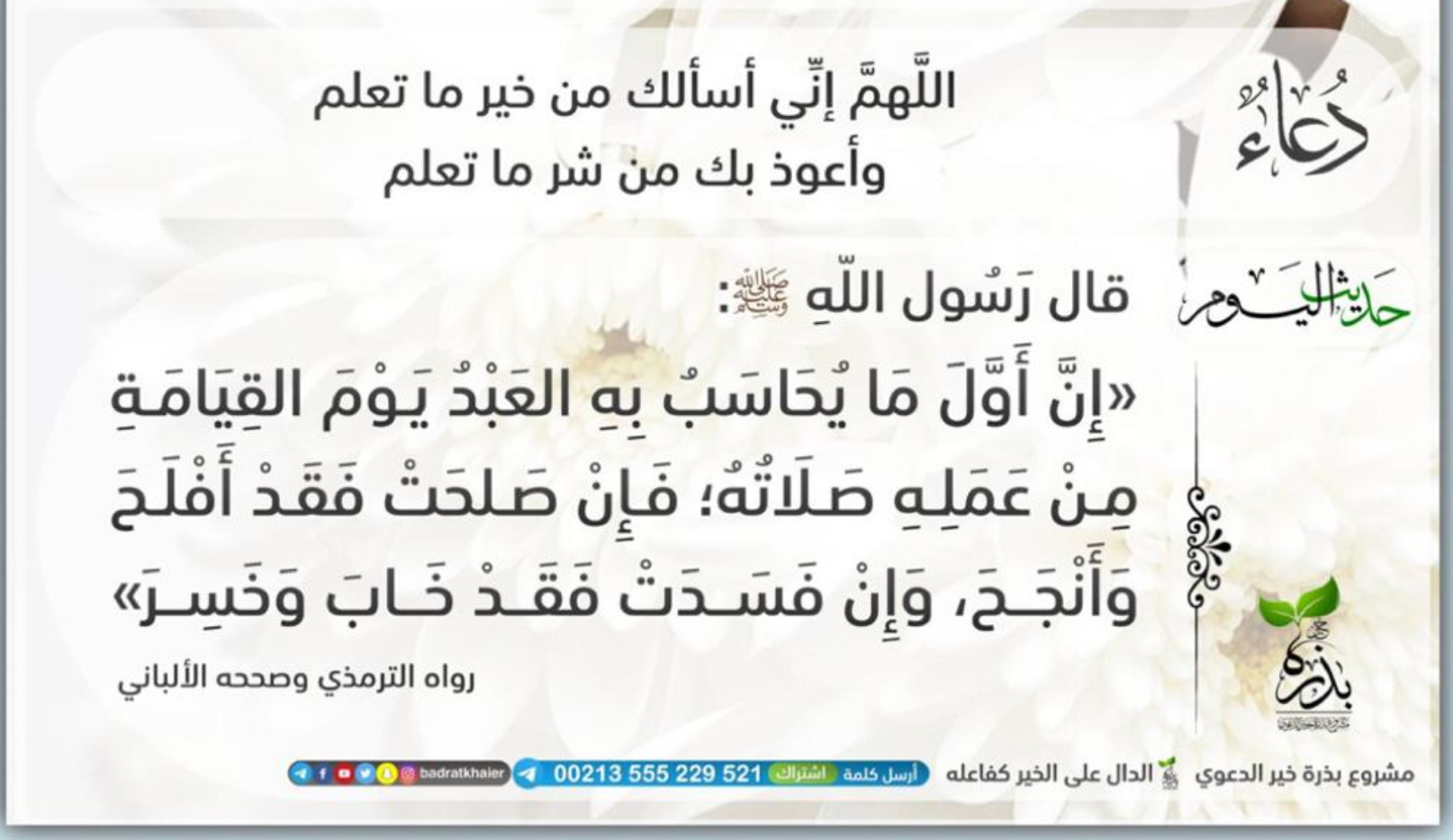 مختارات