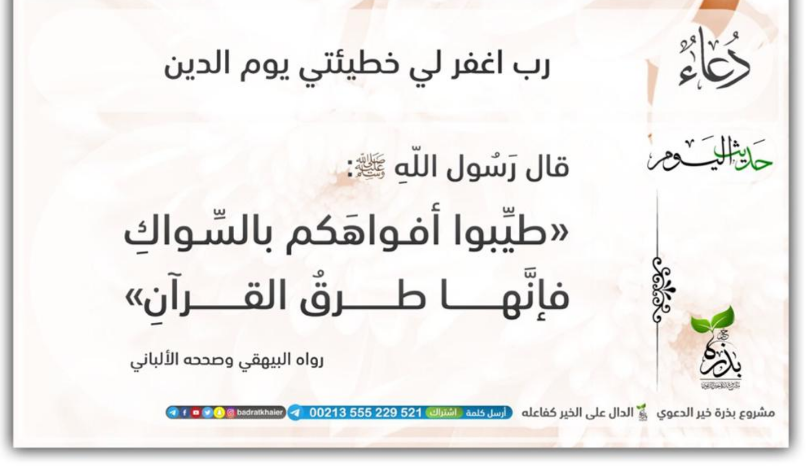 مختارات