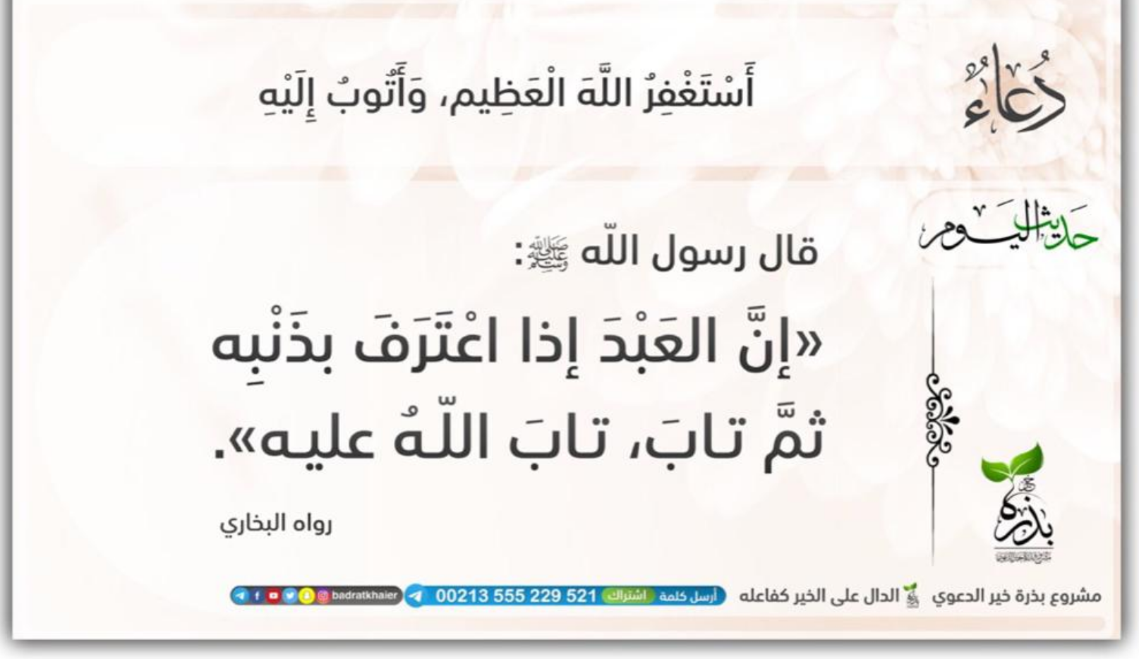 مختارات