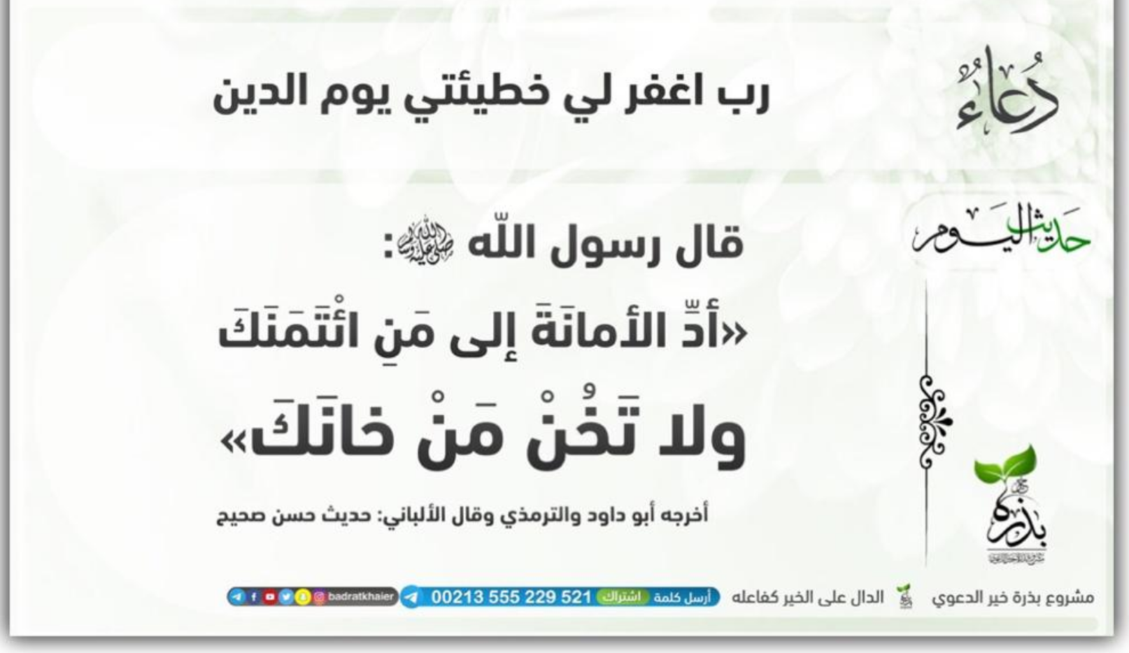 مختارات