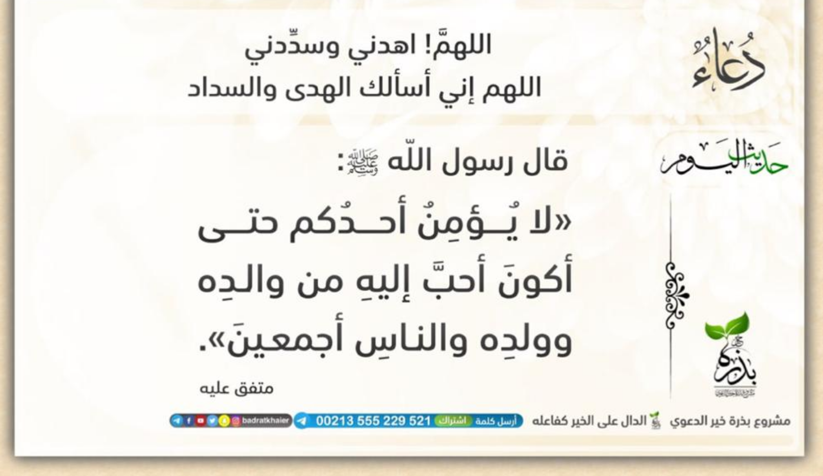 مختارات