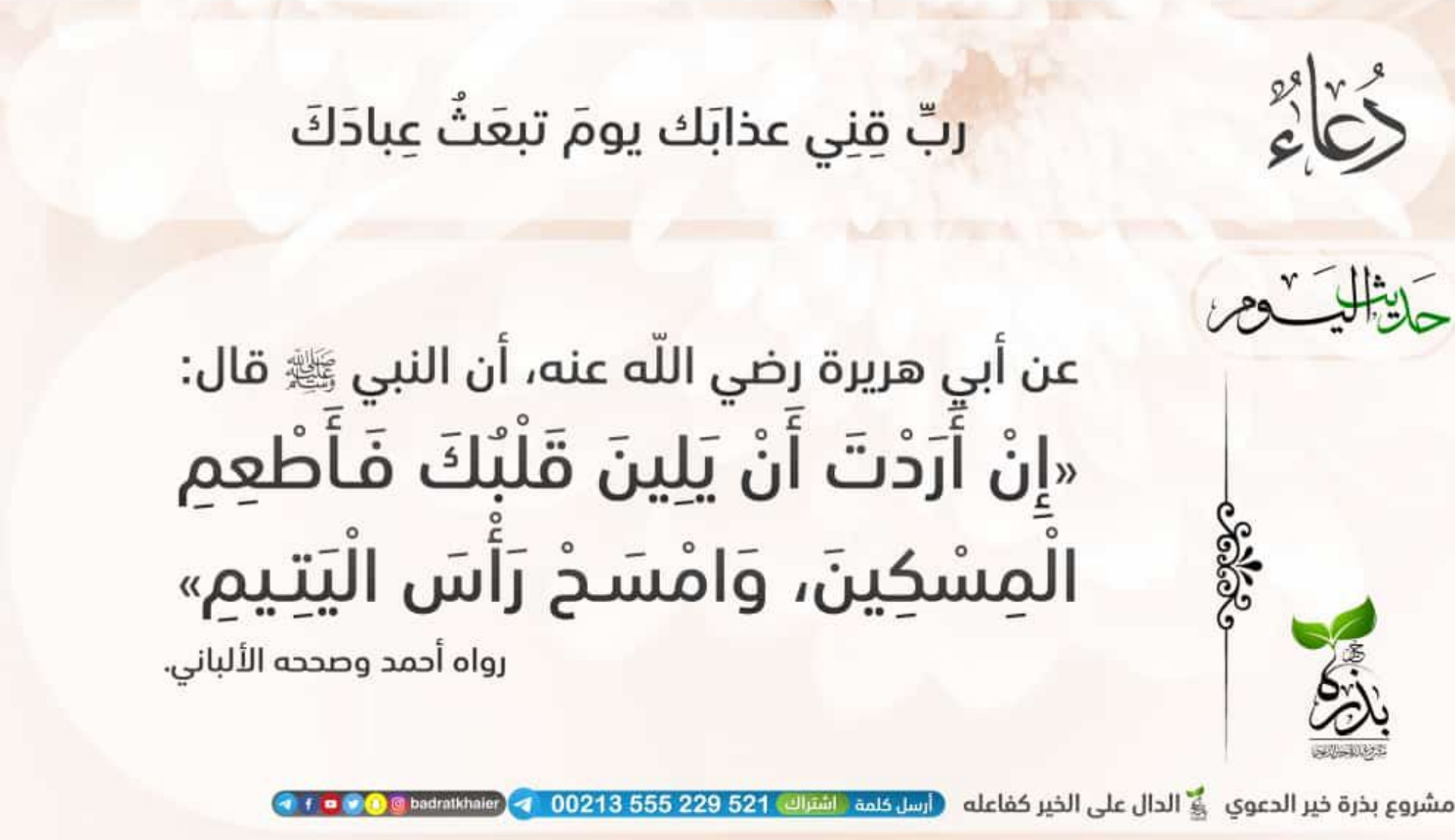 مختارات