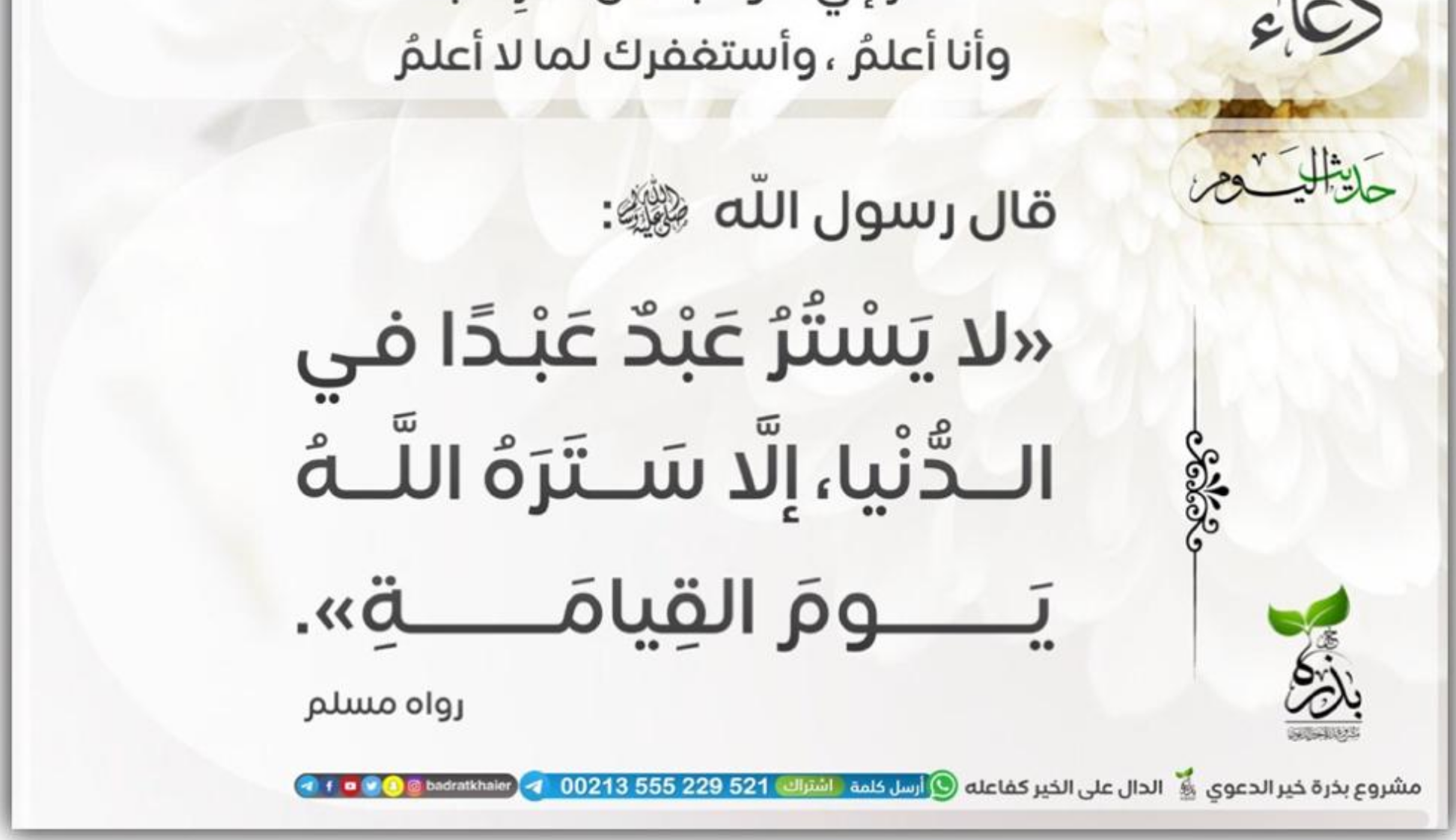 مختارات