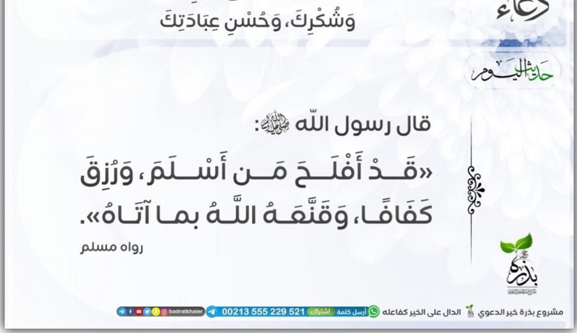 مختارات