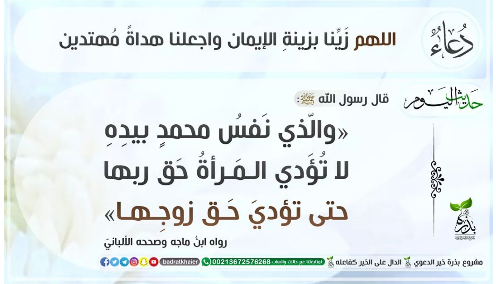 مختارات