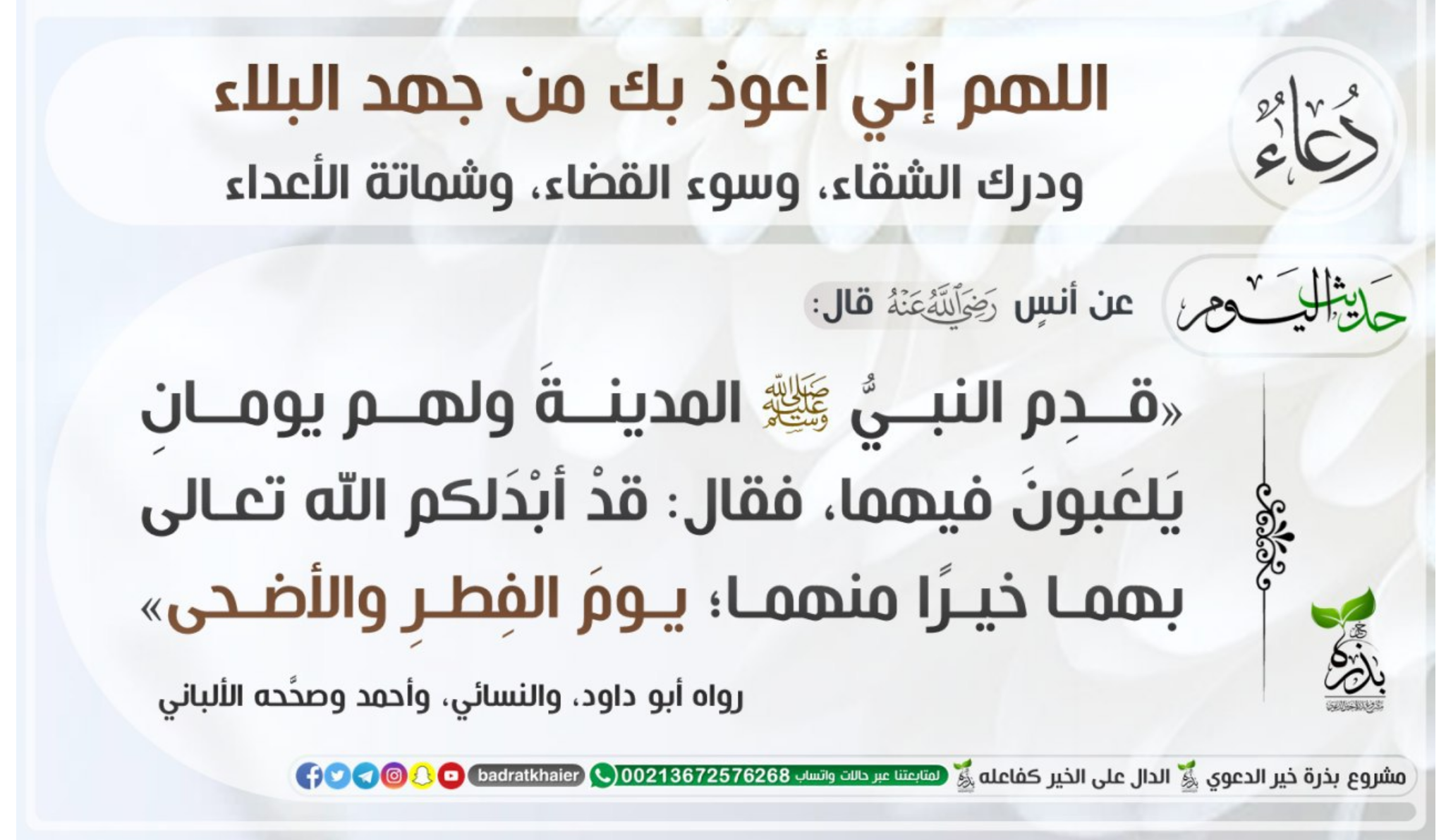 مختارات