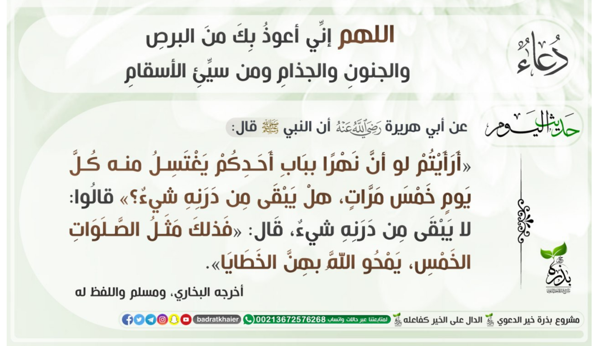 مختارات