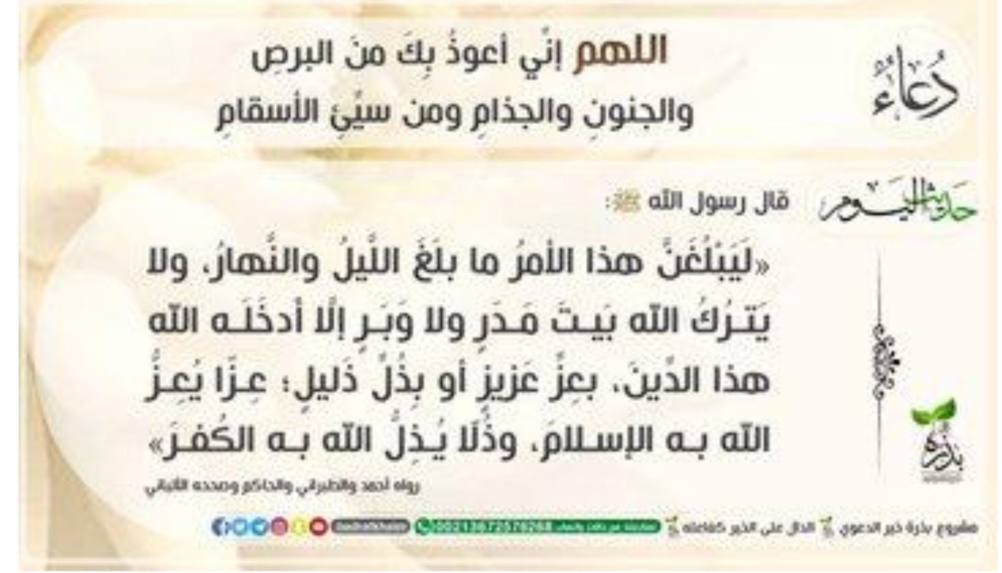 مختارات