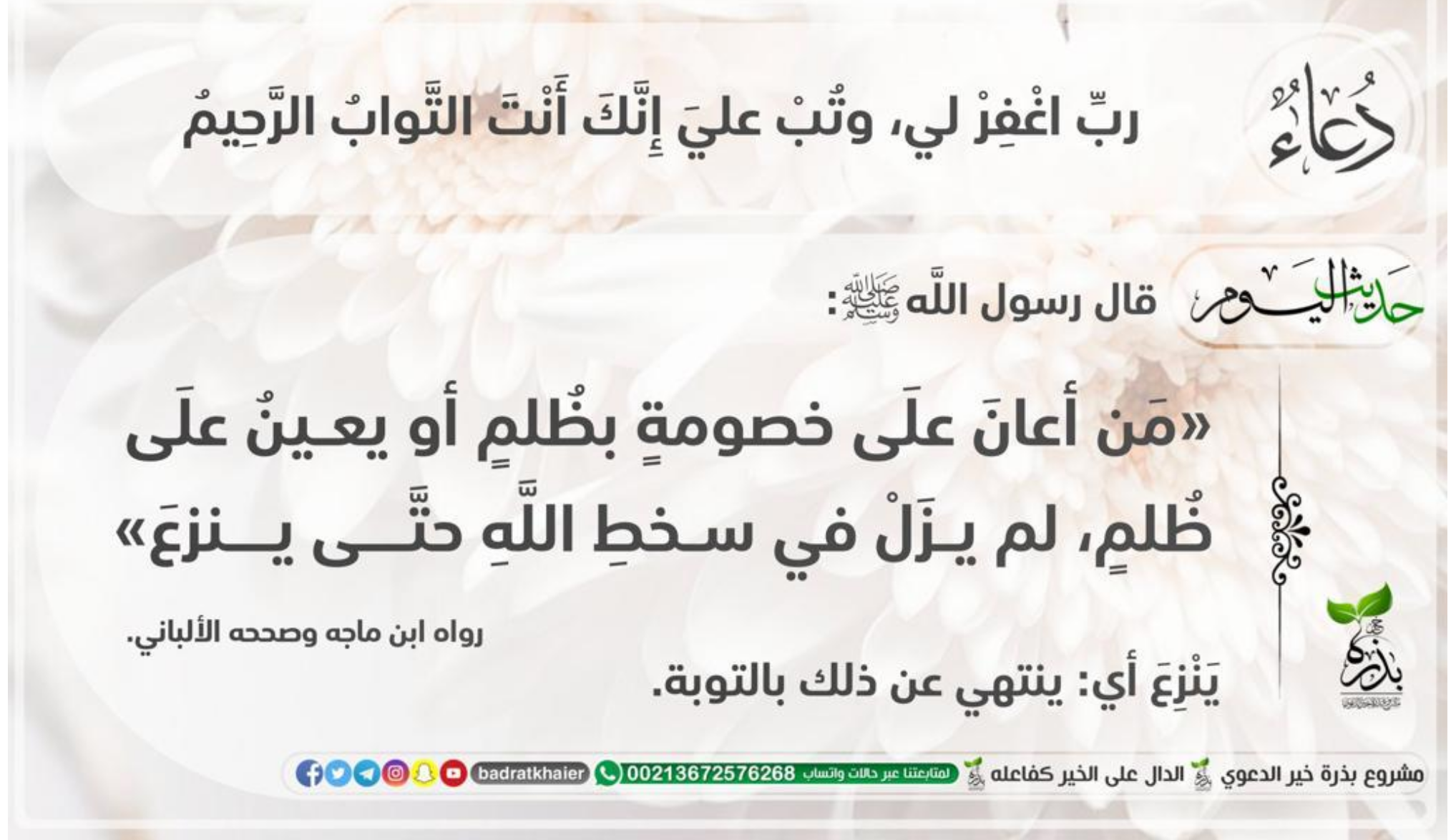 مختارات