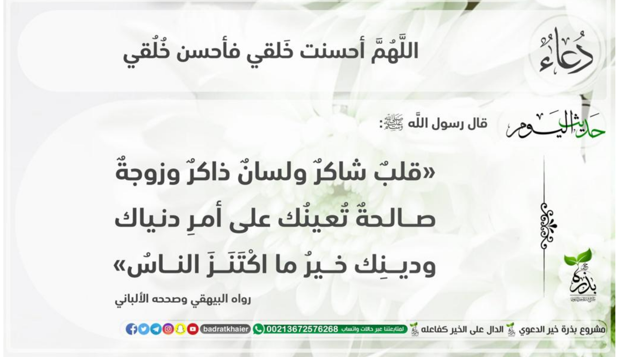 مختارات
