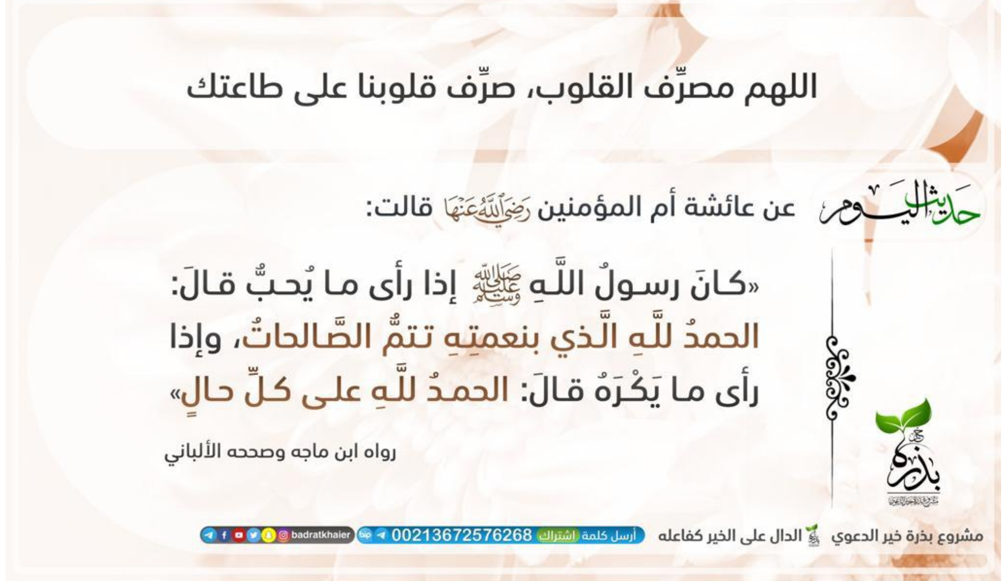 مختارات