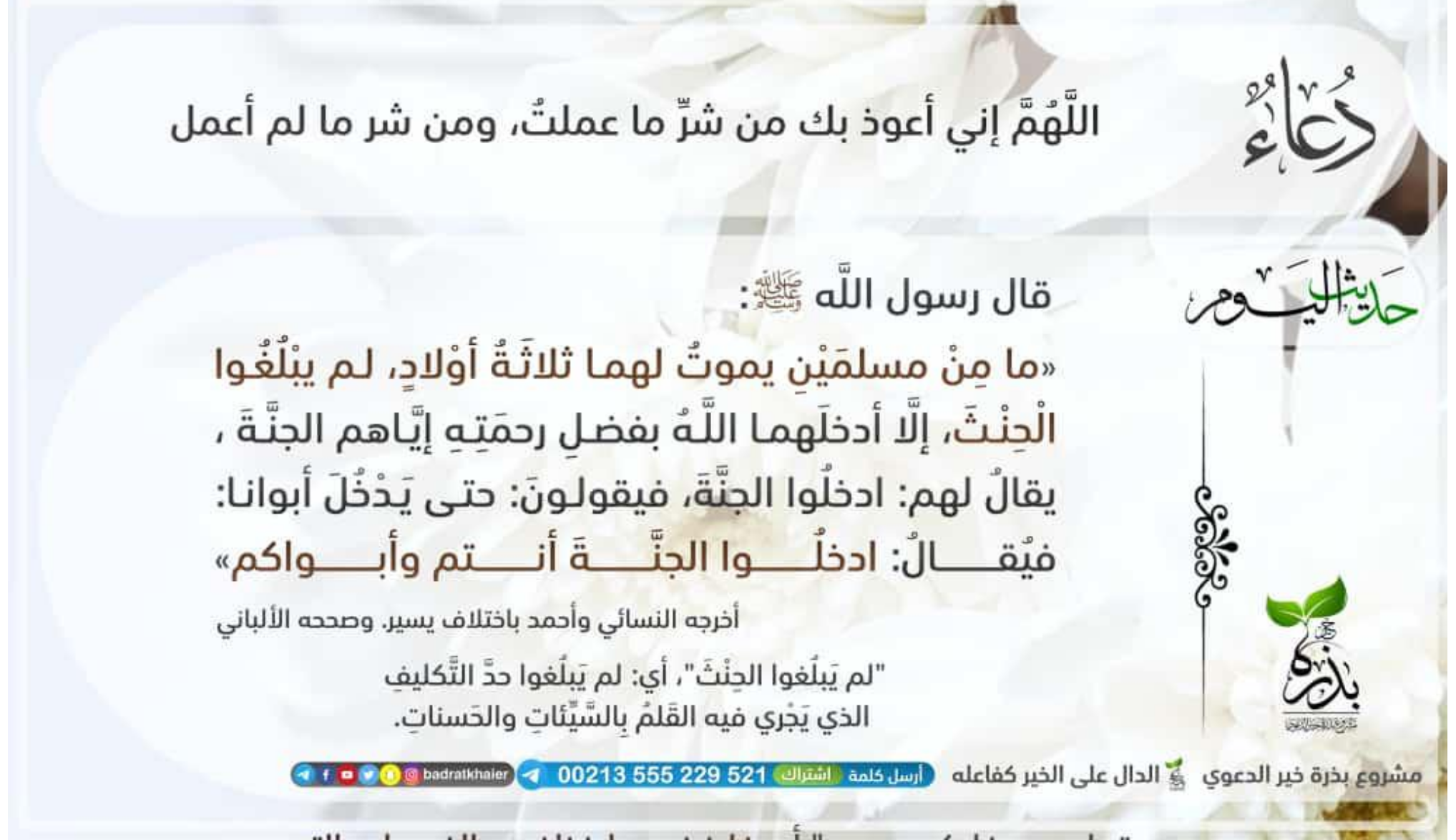 مختارات