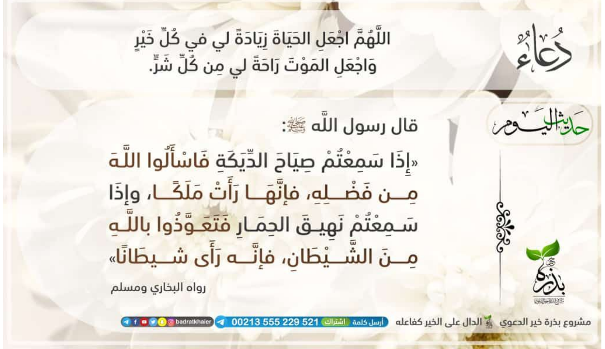 مختارات