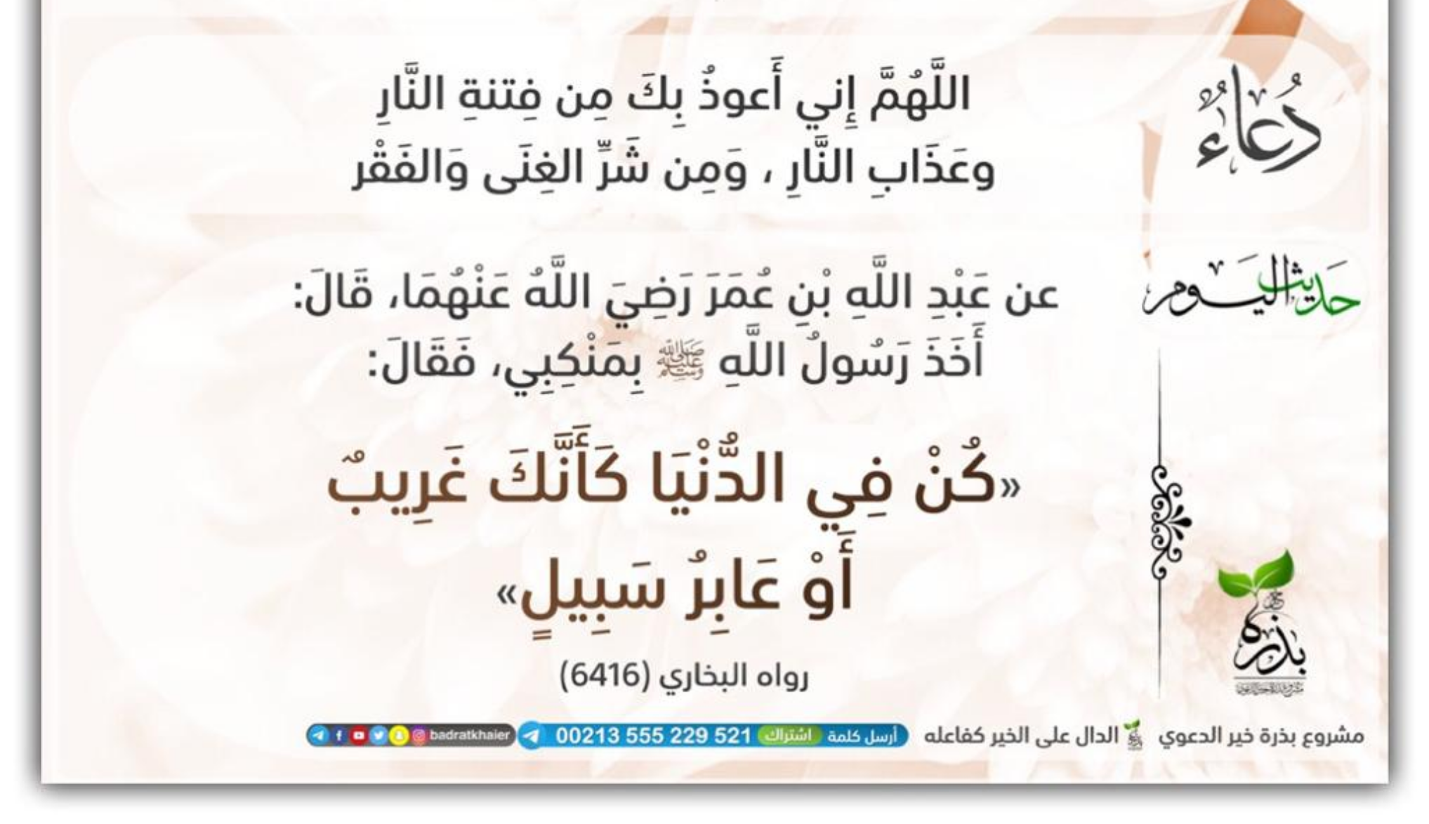 مختارات