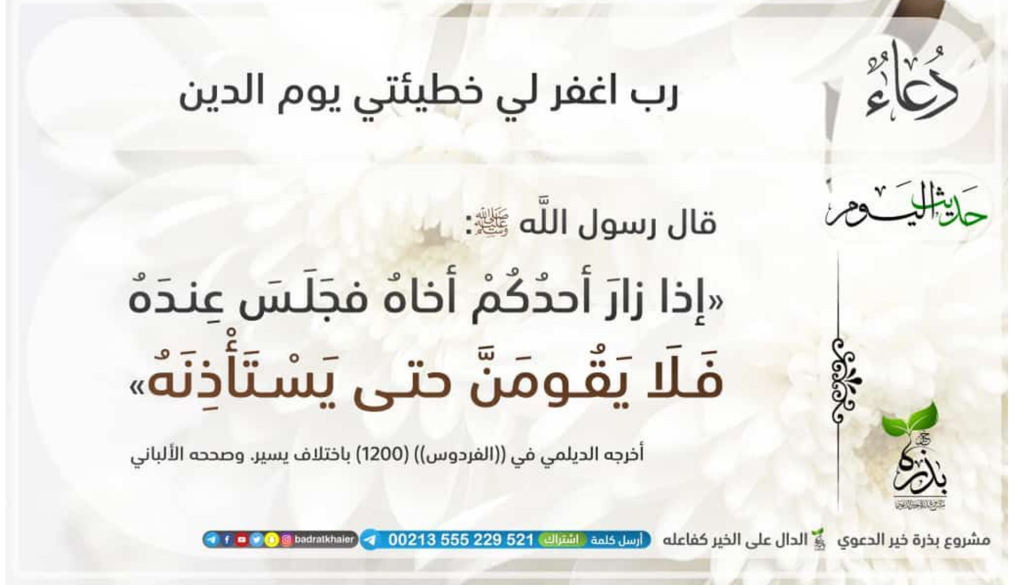 مختارات