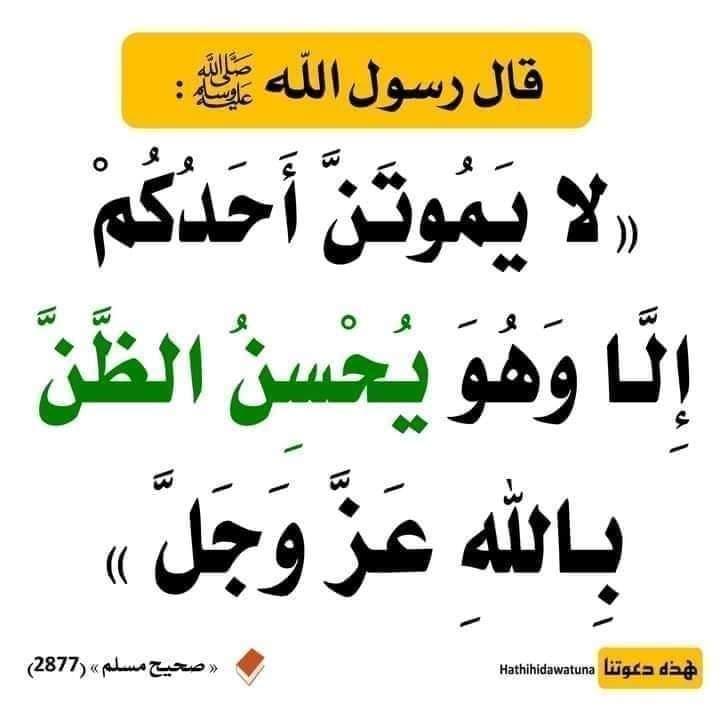 لايموتن احدكم الا وهو يحسن الظن بالله عز وجل