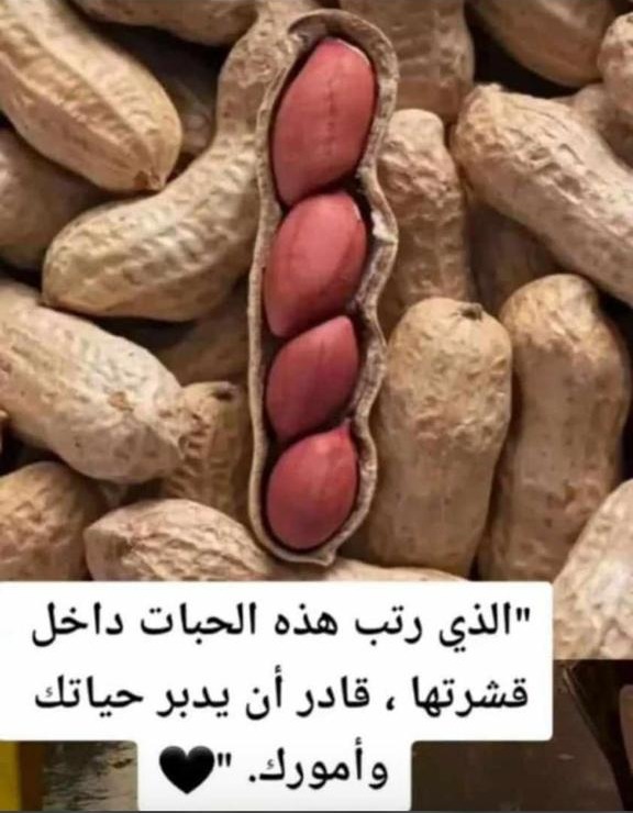 الذي رتب هذه الحبات قادر على ان يدير حياتك وامورك